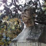 Il mezzo busto Giuseppe Capruzzi, sindaco di Bari dal 1887 al 1890 situato in Piazza Garibaldi� e vistosamente rovinato dai bisognini dei volatili